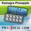 Kamagra Pineapple 990