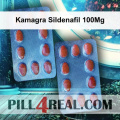 Kamagra Sildenafil 100Mg 011