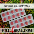 Kamagra Sildenafil 100Mg 141