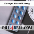 Kamagra Sildenafil 100Mg 259