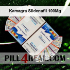 Kamagra Sildenafil 100Mg 270