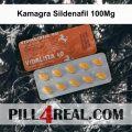 Kamagra Sildenafil 100Mg 358