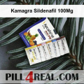Kamagra Sildenafil 100Mg 387