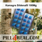 Kamagra Sildenafil 100Mg 510