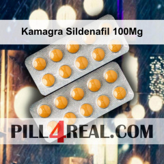 Kamagra Sildenafil 100Mg 668