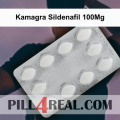 Kamagra Sildenafil 100Mg 669