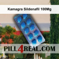Kamagra Sildenafil 100Mg 791