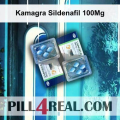 Kamagra Sildenafil 100Mg 877