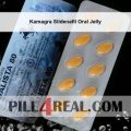 Kamagra Sildenafil Oral Jelly 427