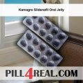 Kamagra Sildenafil Oral Jelly 511