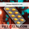 Kamagra Sildenafil Oral Jelly 704