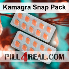 Kamagra Snap Pack 254