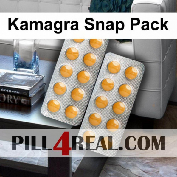 Kamagra Snap Pack 313