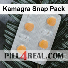 Kamagra Snap Pack 741