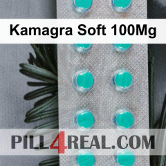 Kamagra Soft 100Mg 128