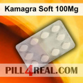 Kamagra Soft 100Mg 209