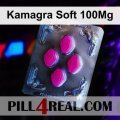 Kamagra Soft 100Mg 428