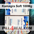 Kamagra Soft 100Mg 788