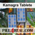 Kamagra Tablete 788