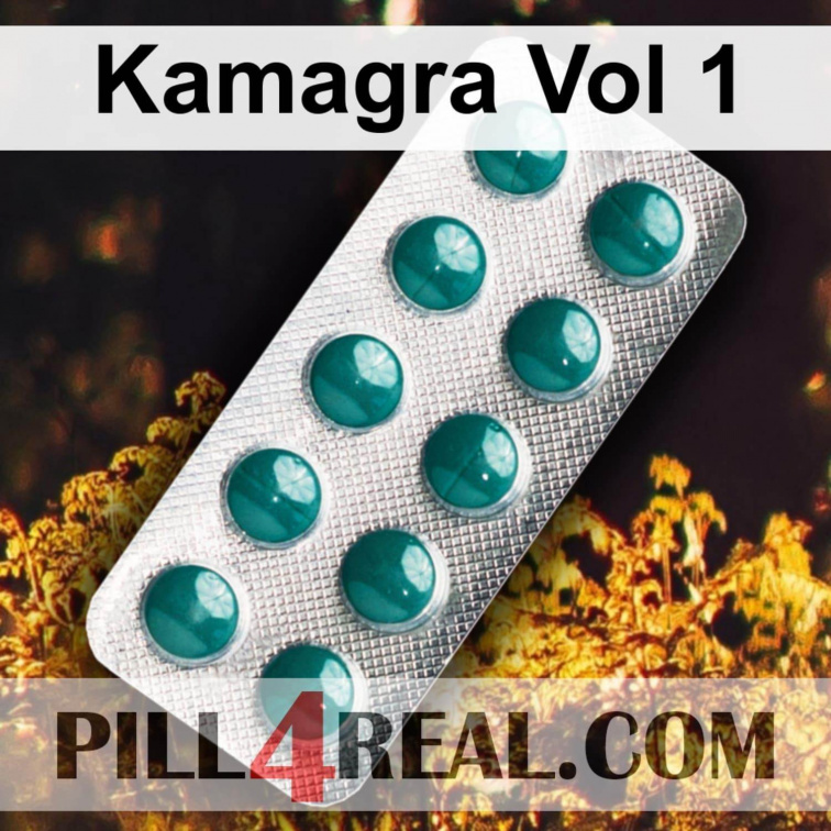Kamagra Vol 1 408