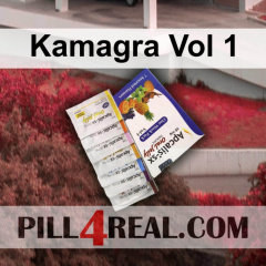 Kamagra Vol 1 718