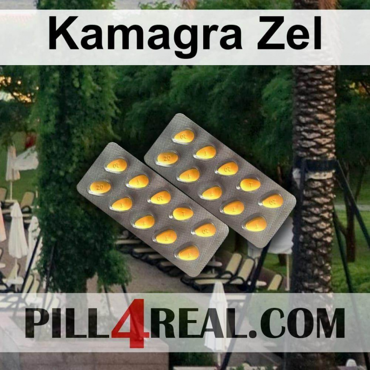 Kamagra Zel 848