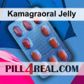 Kamagraoral Jelly 113