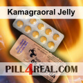 Kamagraoral Jelly 895