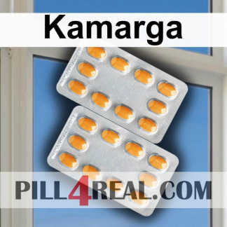 Kamarga 293