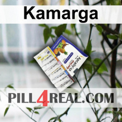 Kamarga 541