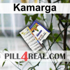 Kamarga 541