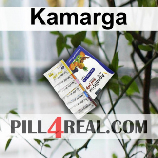 Kamarga 541