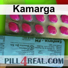 Kamarga 650