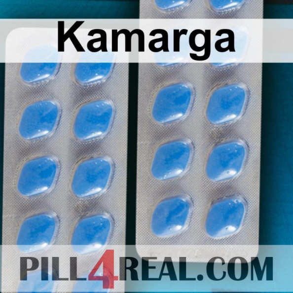 Kamarga 699