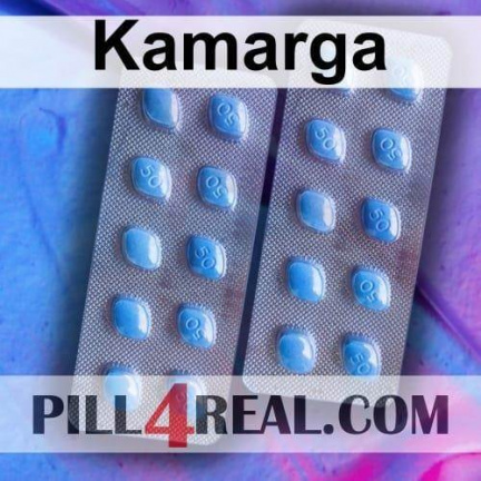 Kamarga 793