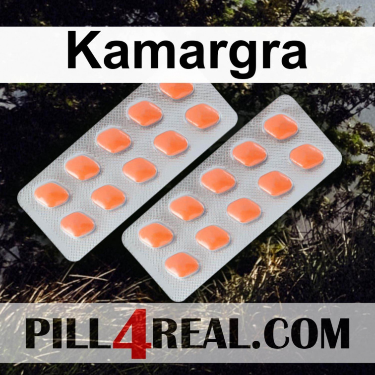 Kamargra 247