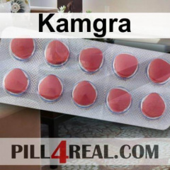 Kamgra 023