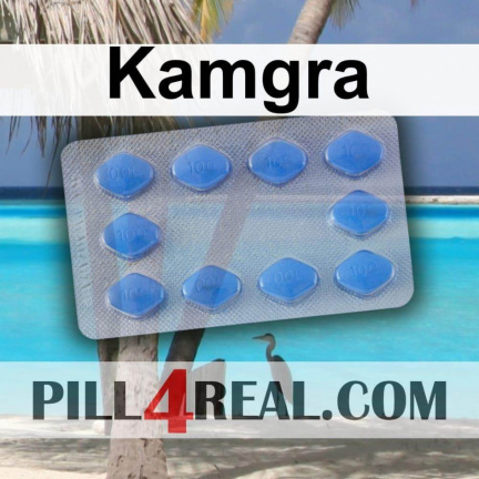 Kamgra 029