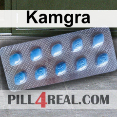 Kamgra 199