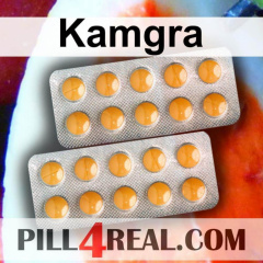 Kamgra 315