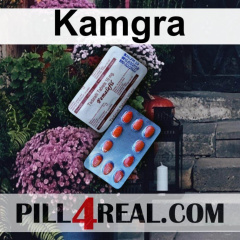 Kamgra 325