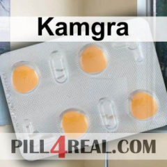 Kamgra 373