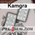 Kamgra 379