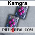 Kamgra 509