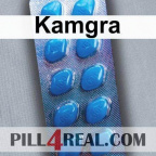 Kamgra 663