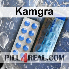 Kamgra 673