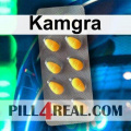 Kamgra 701