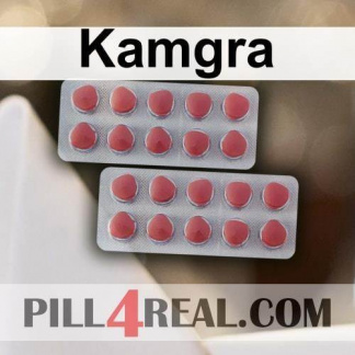 Kamgra 828