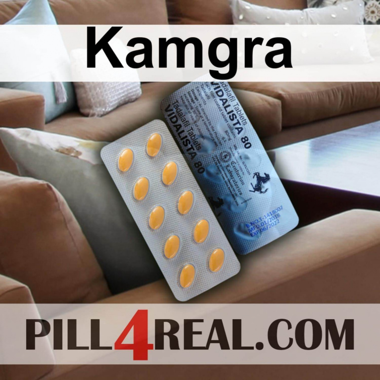 Kamgra 838