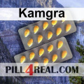 Kamgra 931